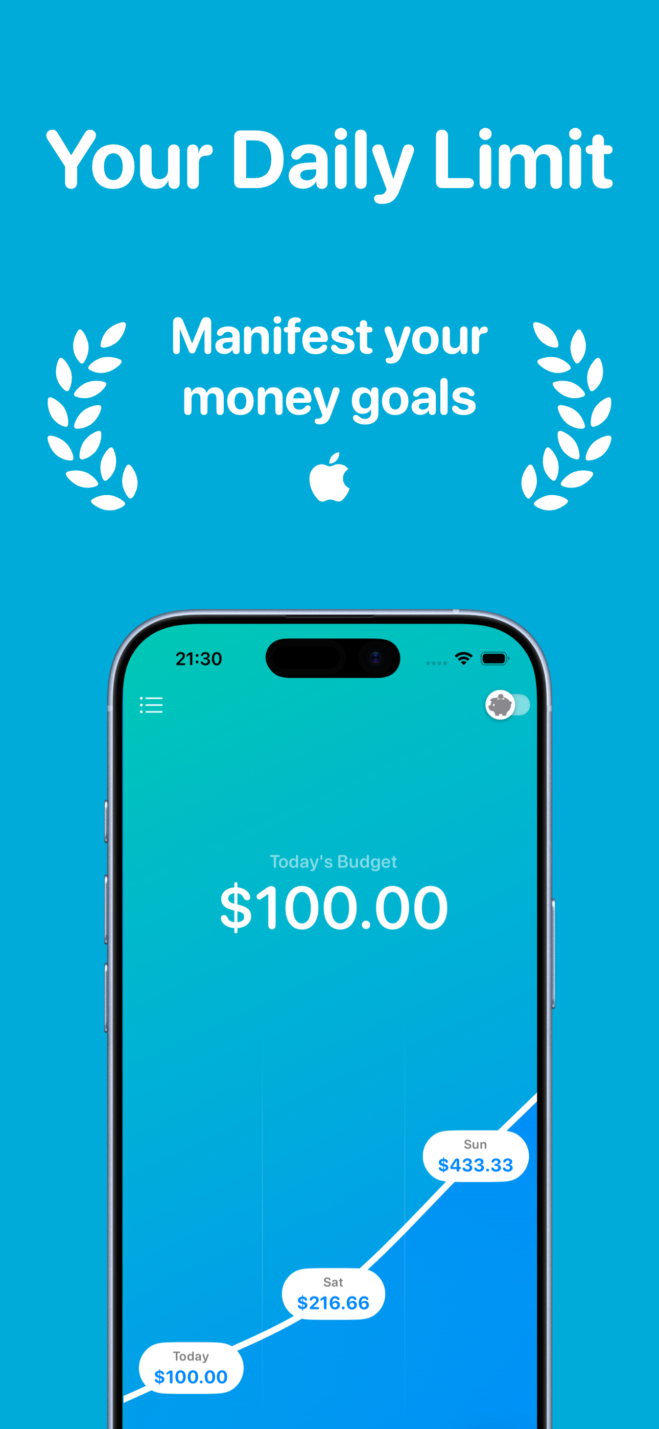 Today's Budget: Money Manager