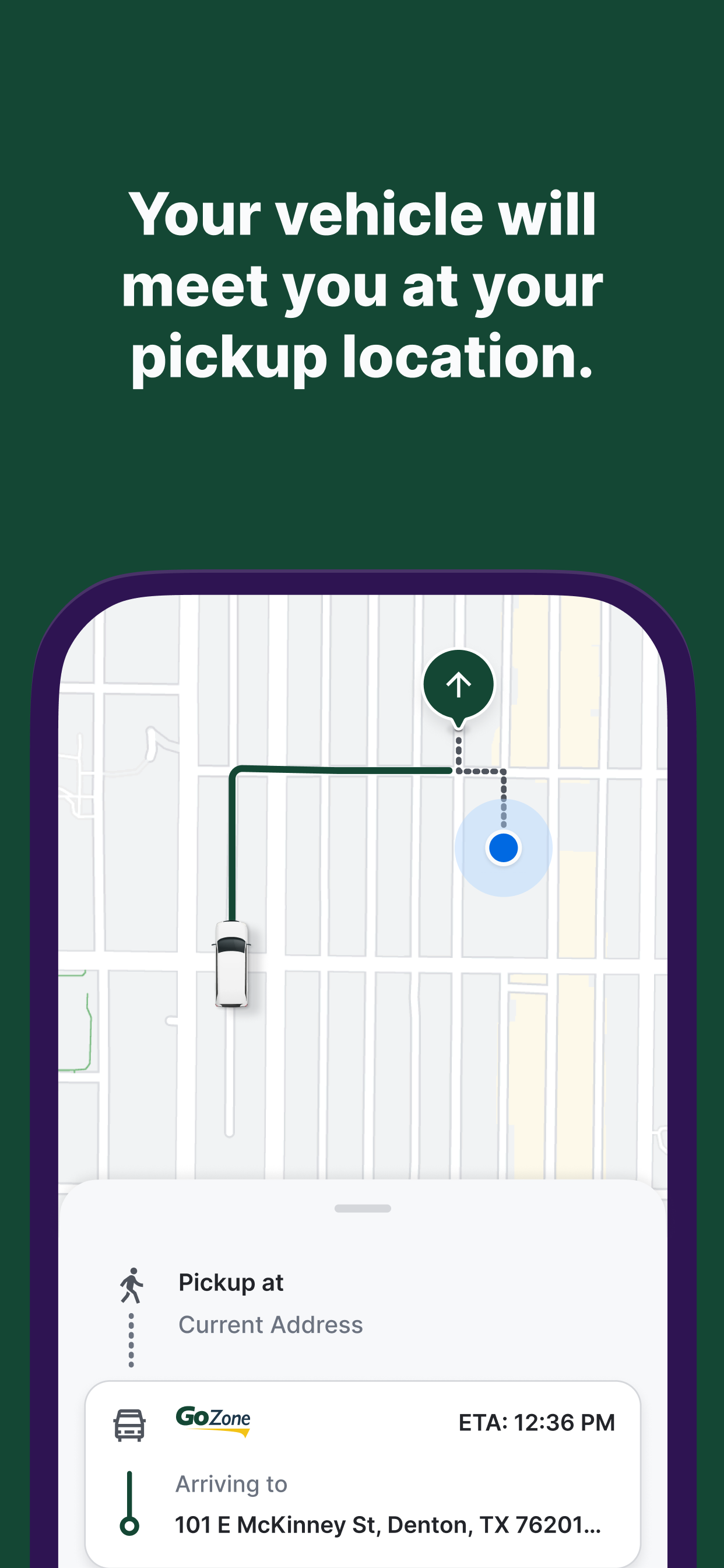 DCTA GoZone On-Demand