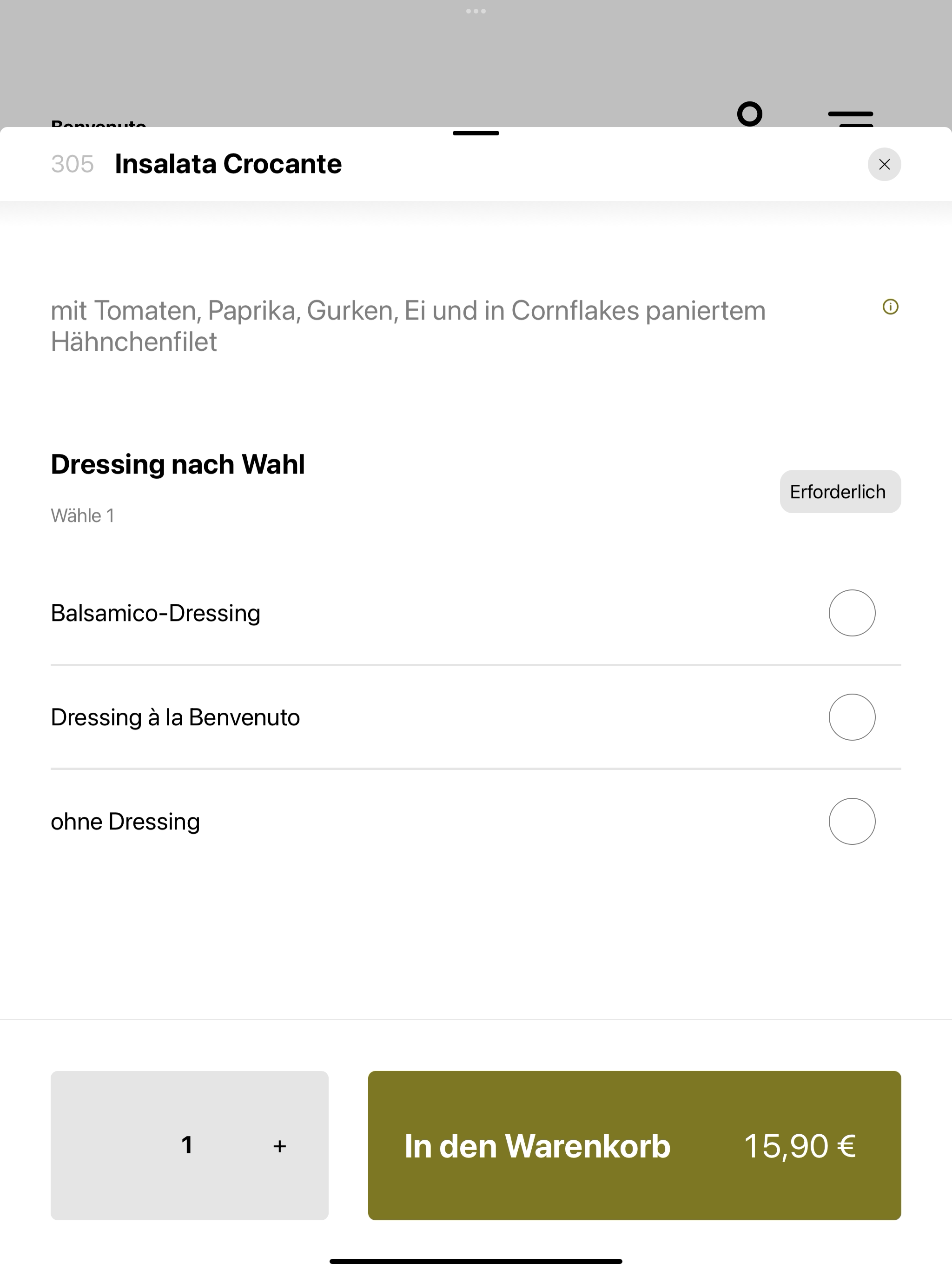 Benvenuto Karlsbrunn screenshot 8