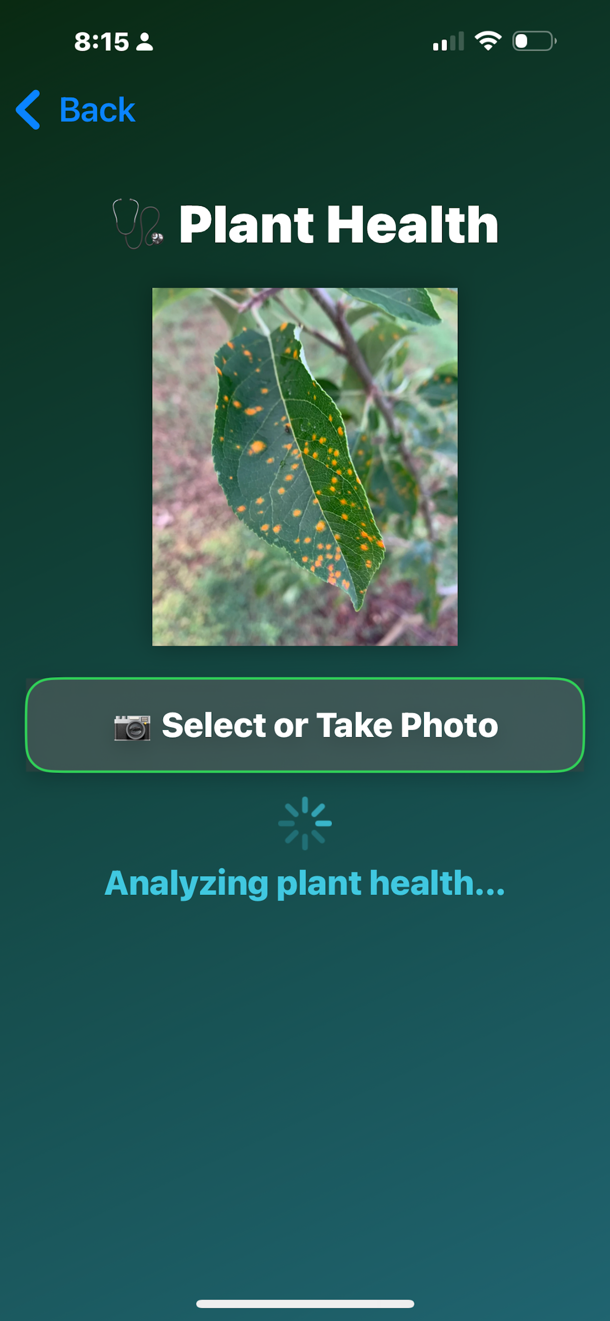 PlantIDAI screenshot 3