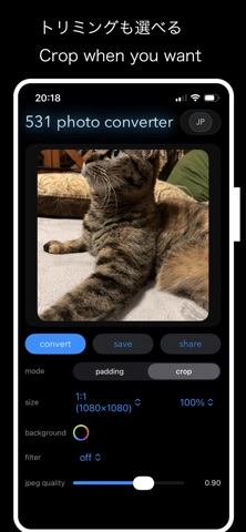 531 photo converter screenshot