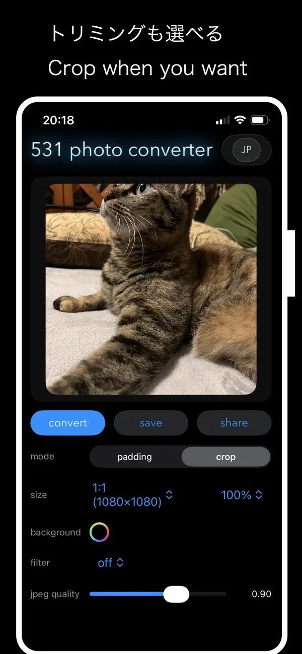 Screenshot #2 pour 531 photo converter