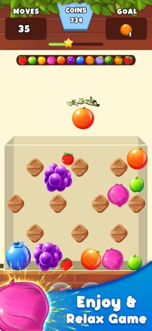 Fruit Merge Sort Puzzle Screenshot 9 of 10