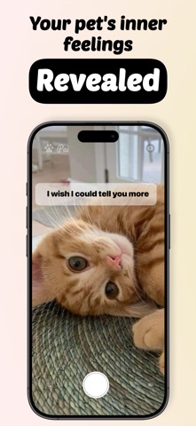 Pai - Pet Translator Screenshot 2 of 7