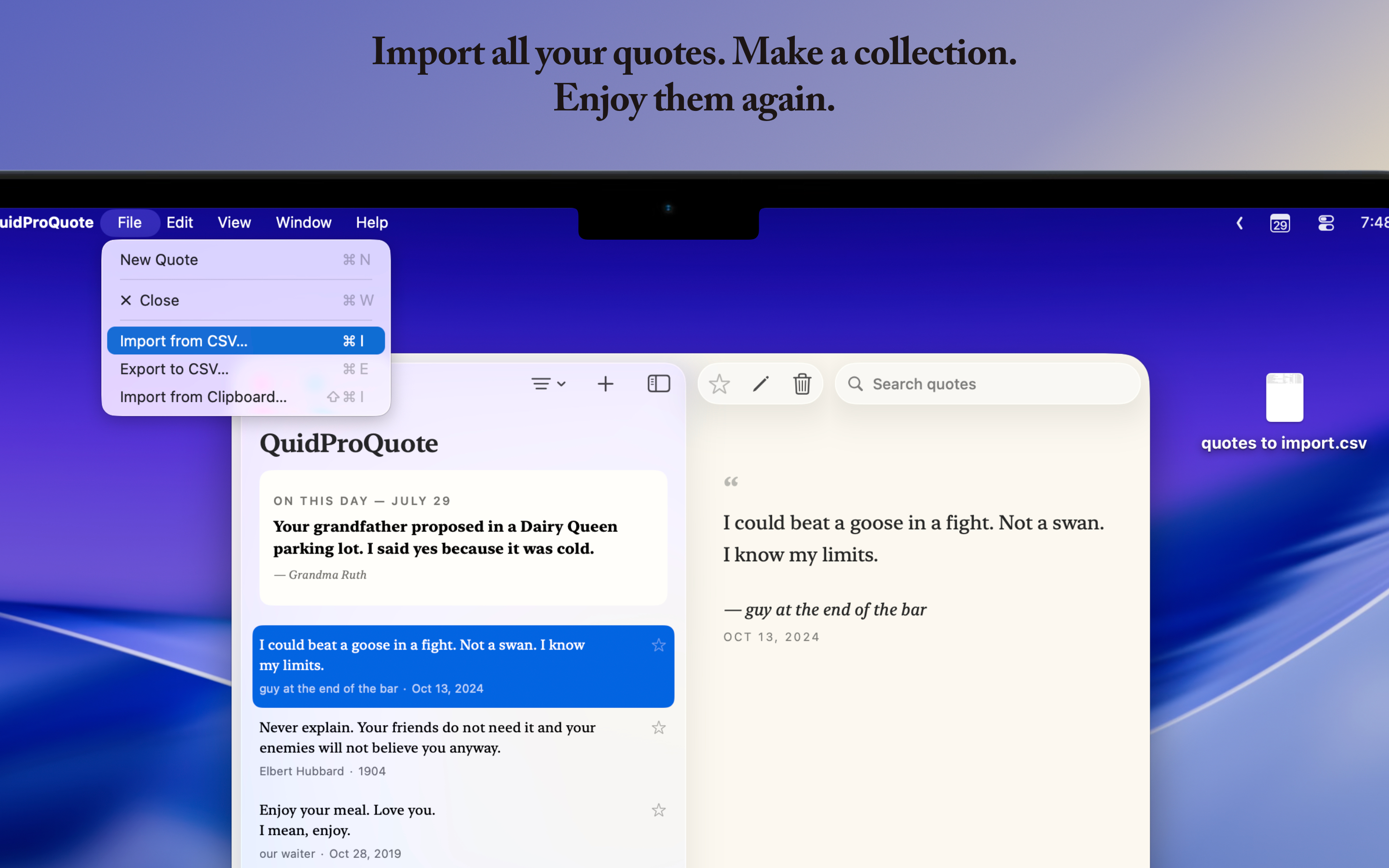 QuidProQuote: Memory Keeper screenshot 8
