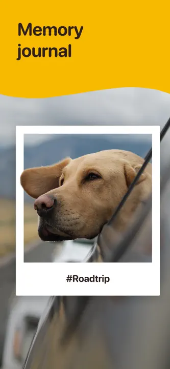 Woofz: Screenshot 9 von 9