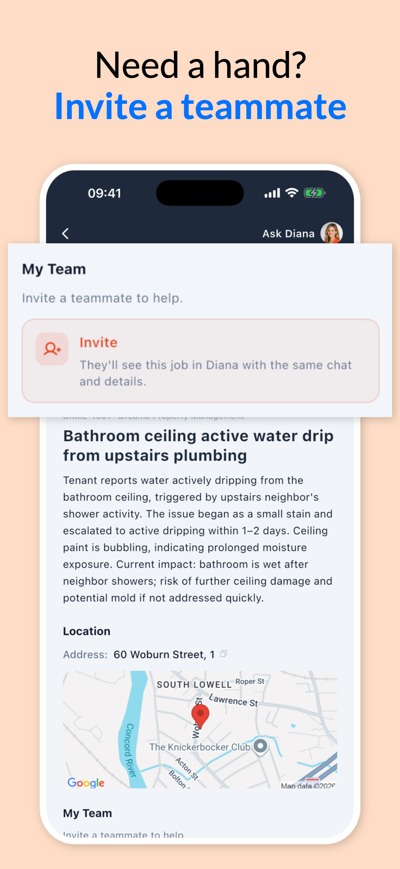 Domios Diana screenshot 6