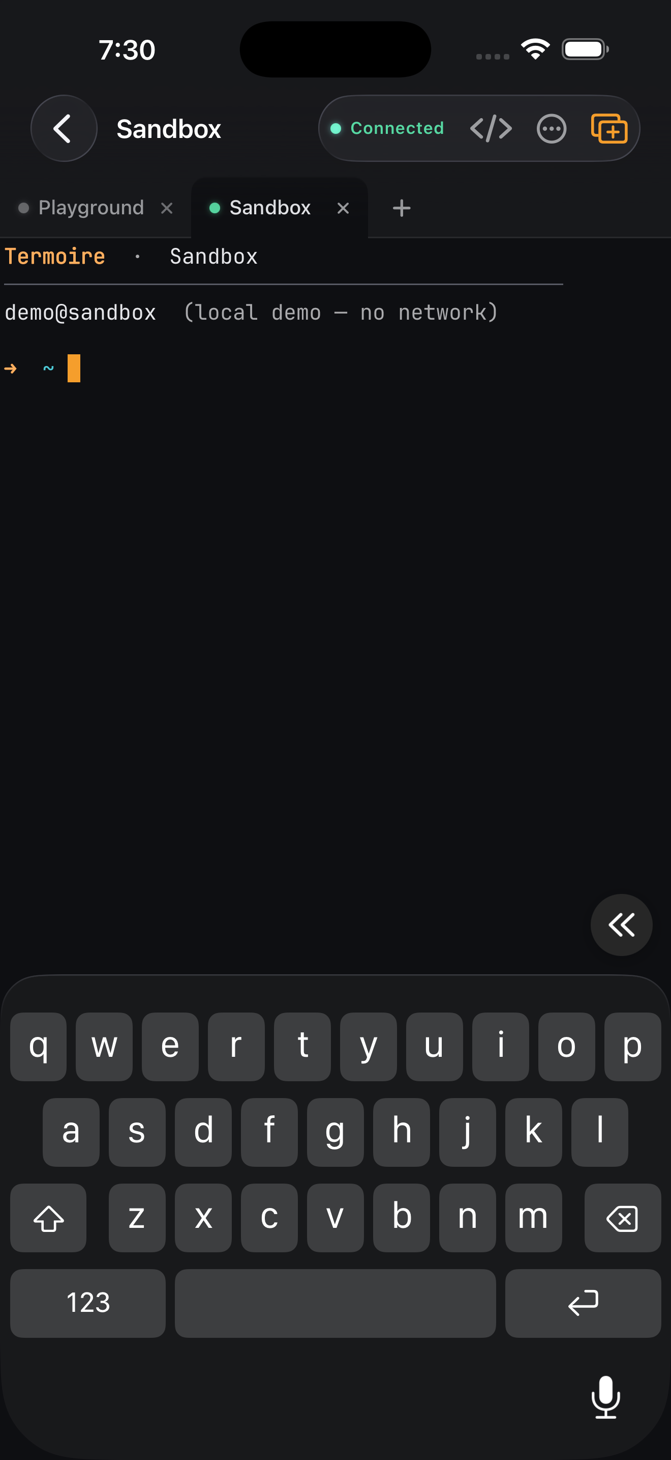 Termoire screenshot 2