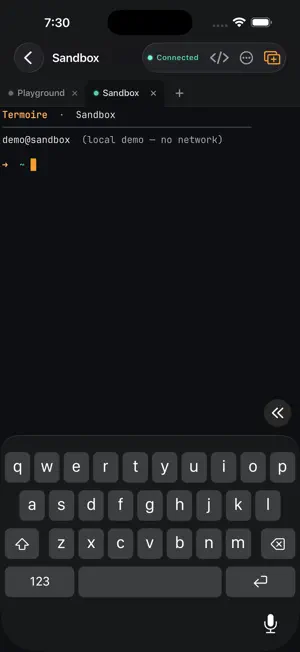 Termoire screenshot 2