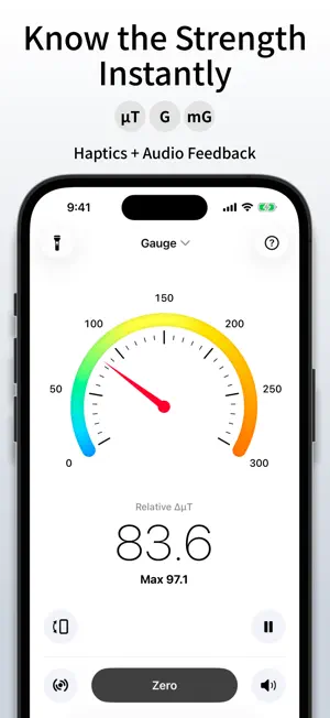 Magnetometer X screenshot 1