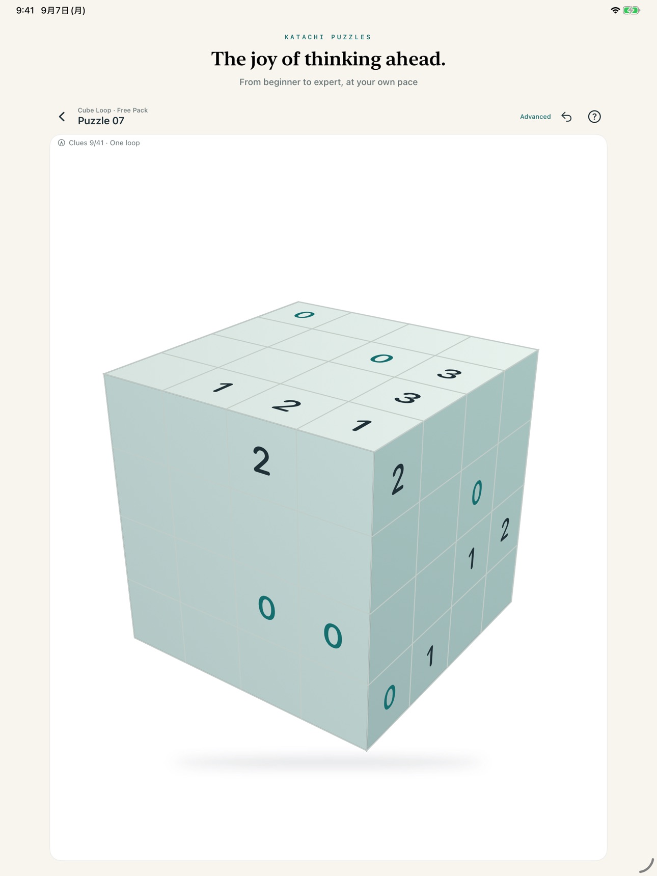 Screenshot 9 of Katachi Puzzles