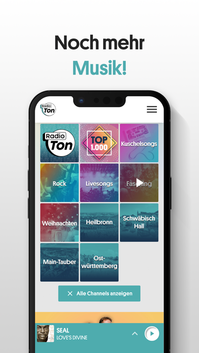 Screenshot #2 pour Radio Ton