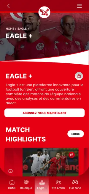 Eagles World screenshot 1