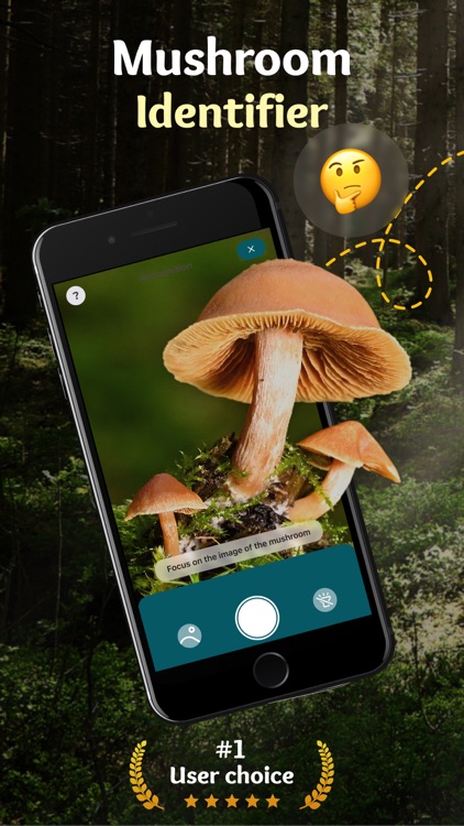 Mushroom Identifier ID Picture