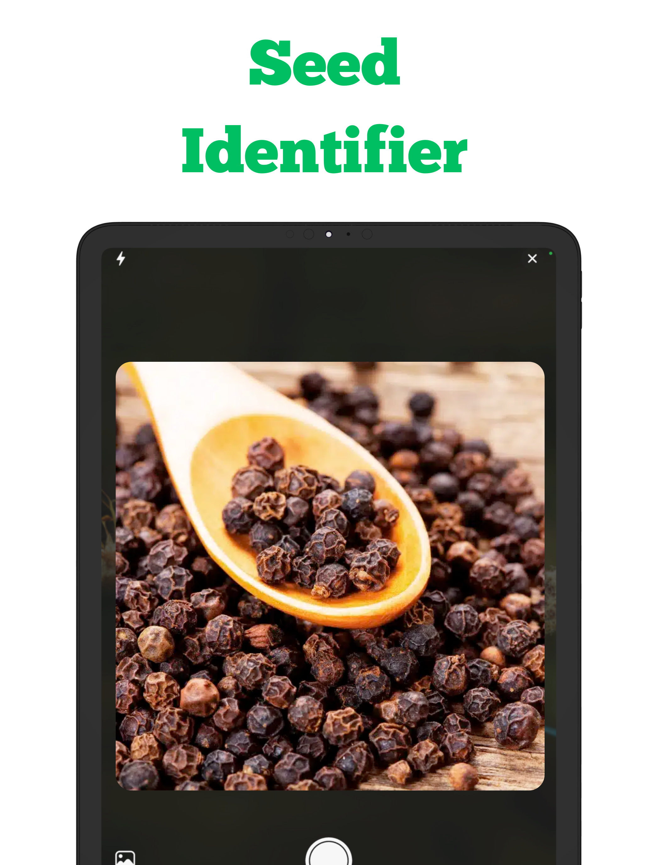 https://is1-ssl.mzstatic.com/image/thumb/PurpleSource221/v4/ea/c7/e8/eac7e8dc-e00e-afbd-7ba4-08d5885584fa/1.png/2064x2752.png