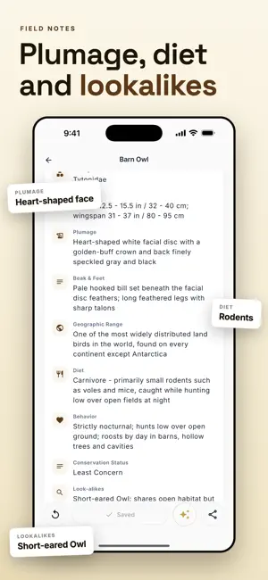 Bird Identifier: Species ID screenshot 4