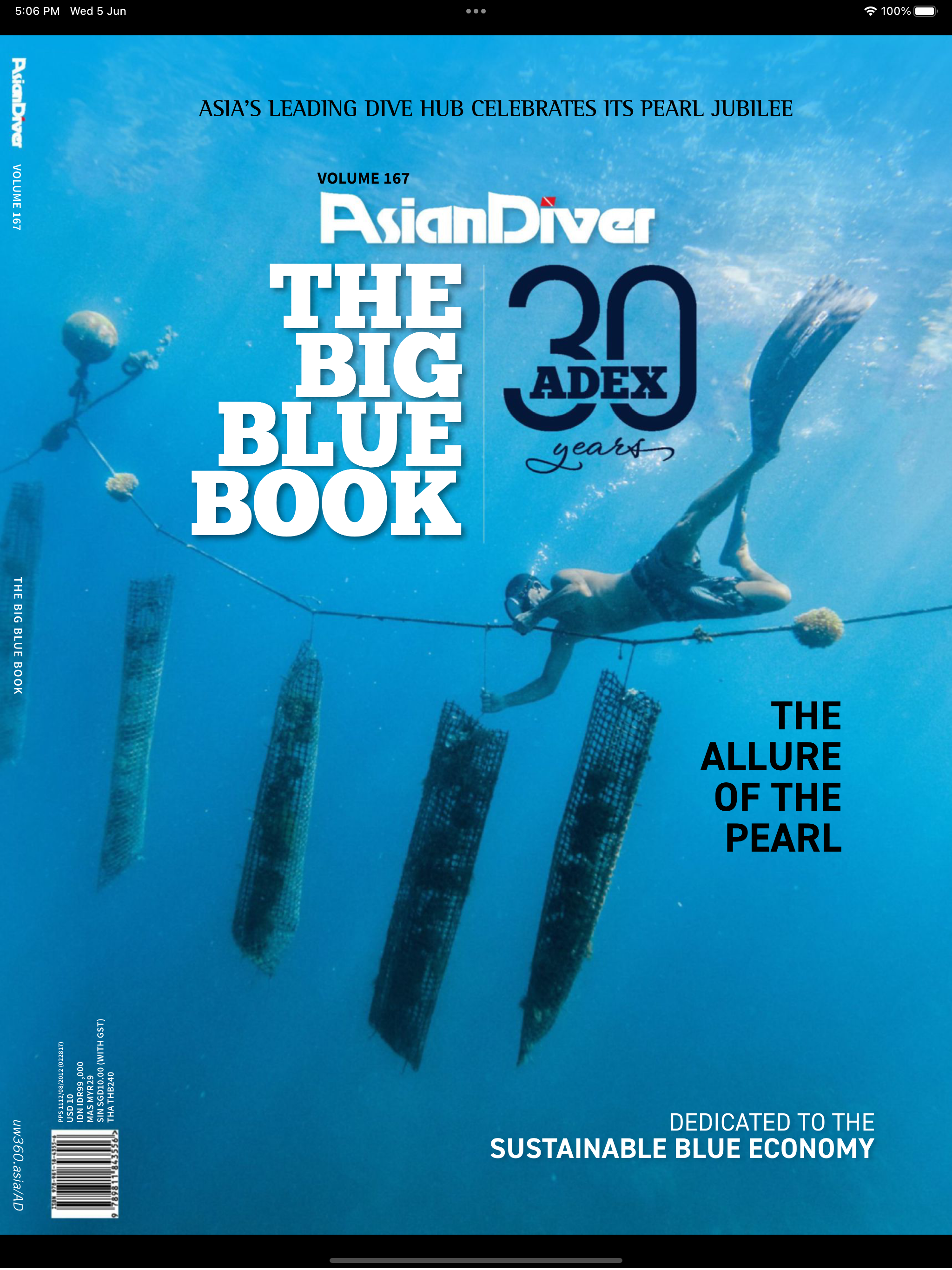 Asian Diver