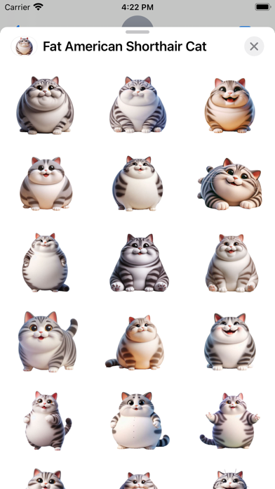 Screenshot #1 pour Fat American Shorthair Cat
