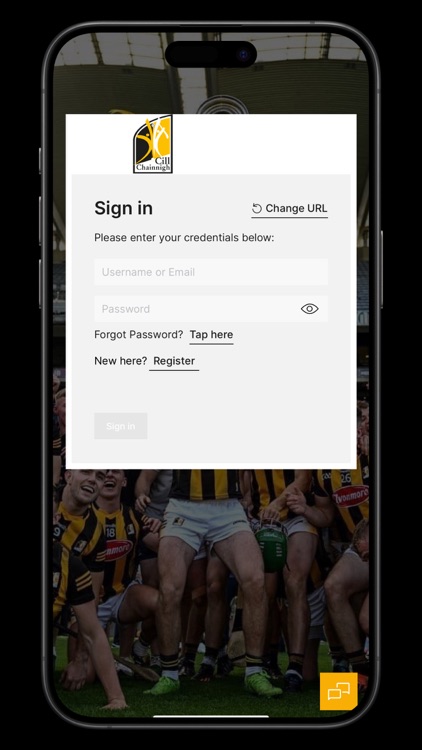 Kilkenny Cats Social