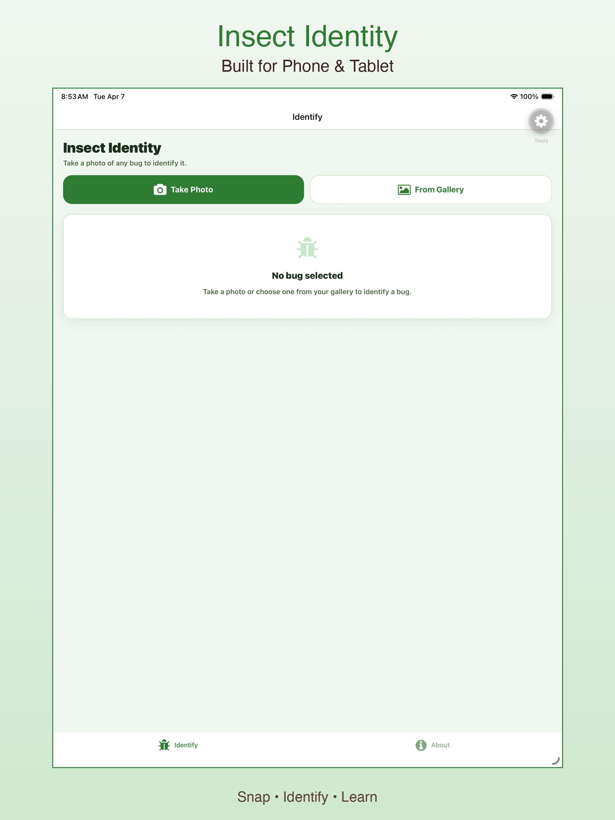Insect Identity screenshot 4