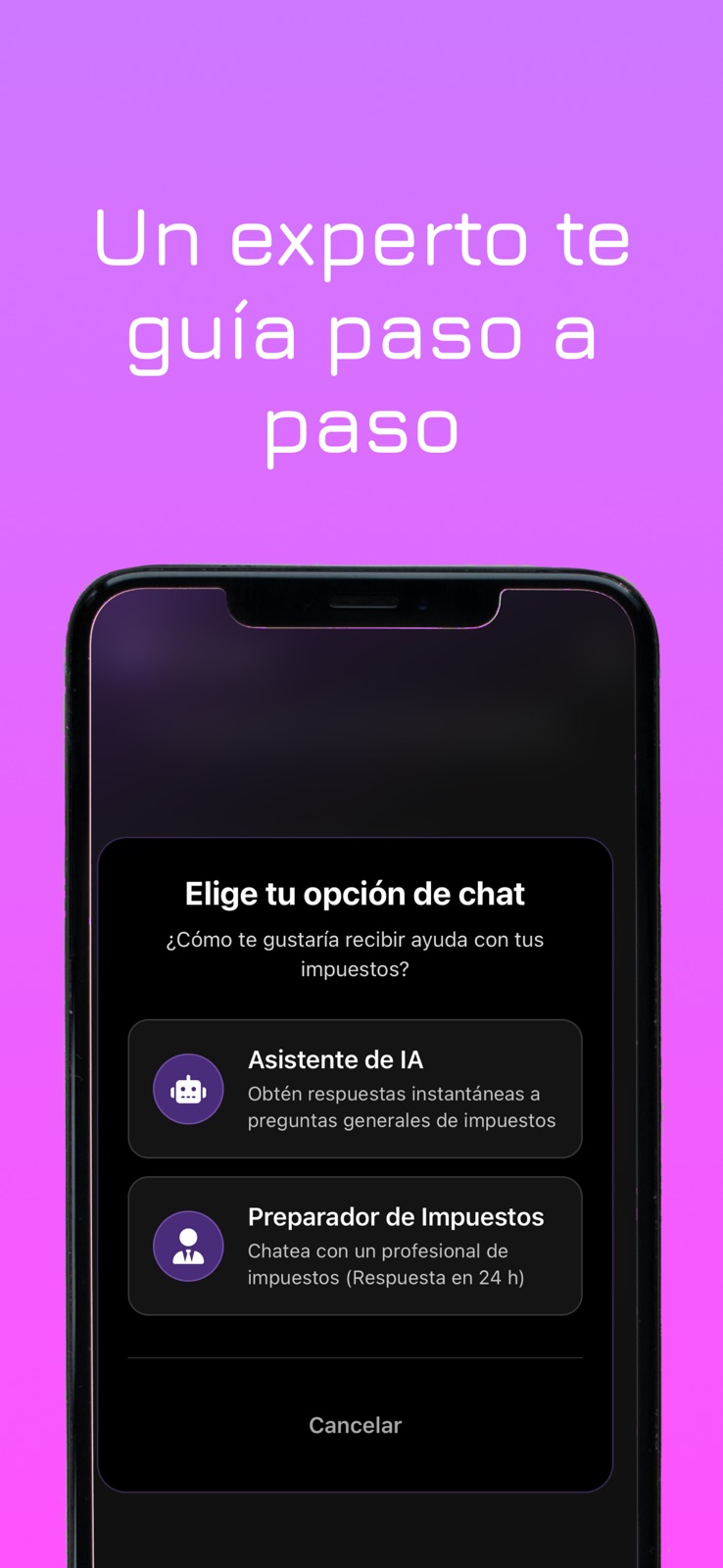 paisatax ai iphone screenshot 3