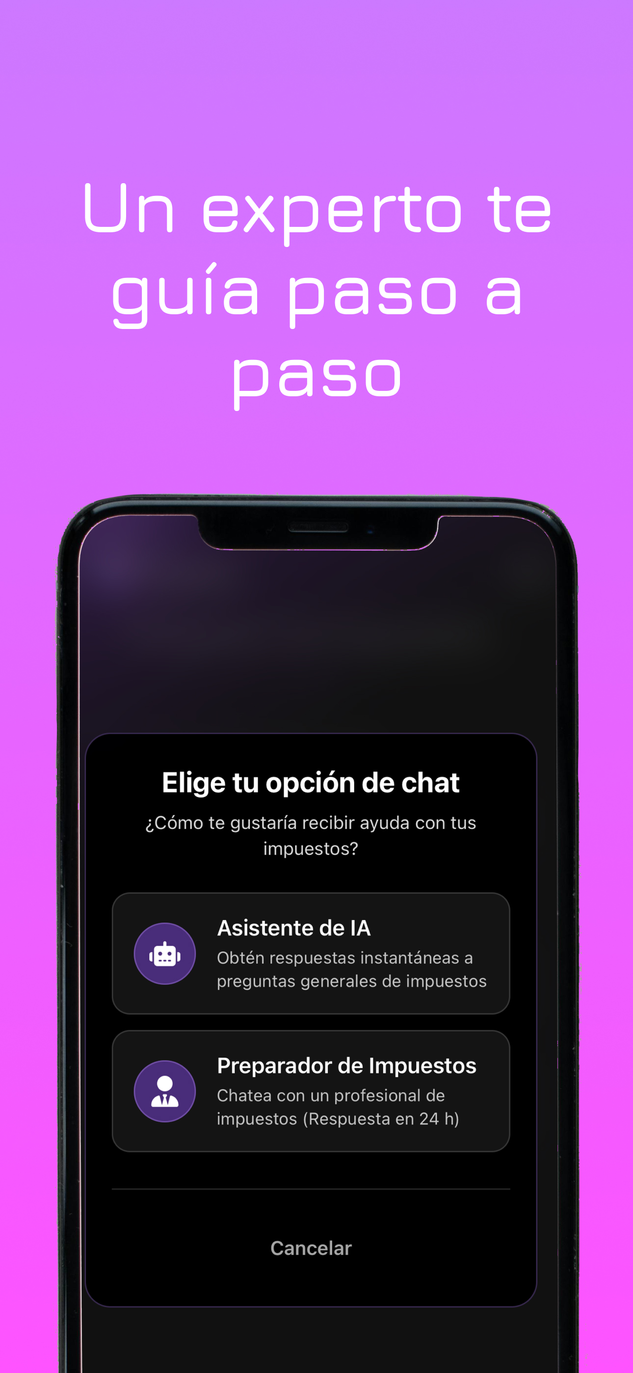 paisatax ai screenshot 4