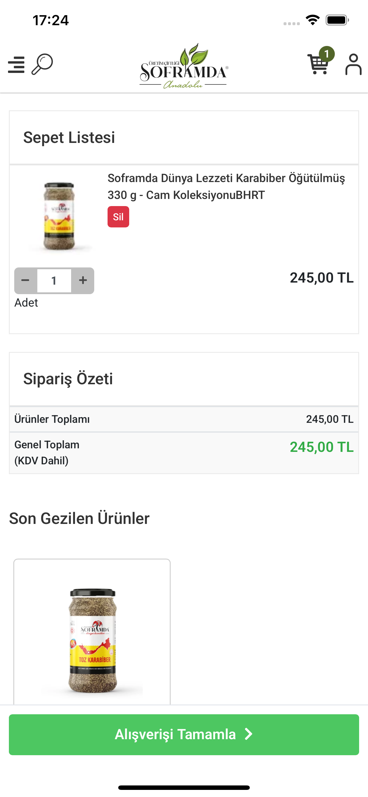 Leiterprüfer