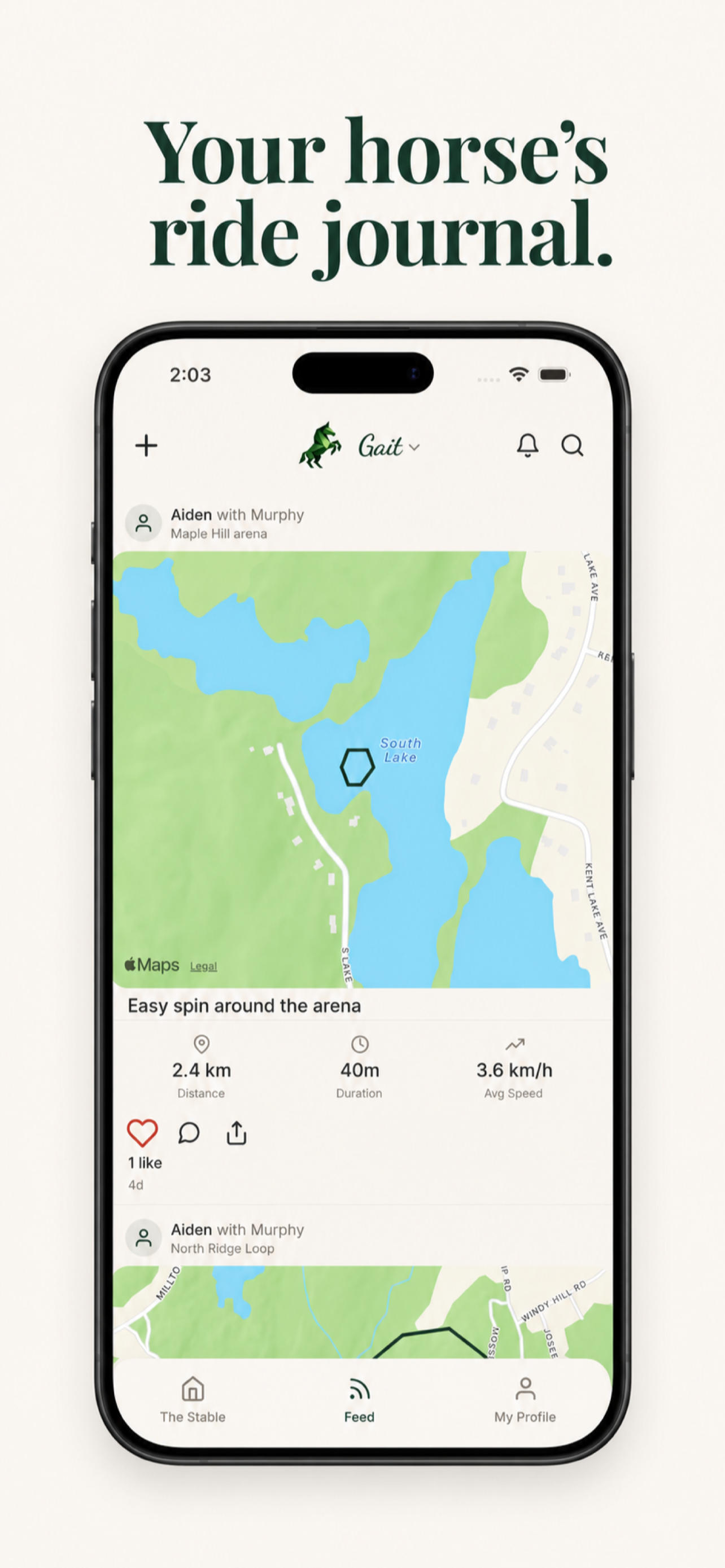 Gait: Horse Diary