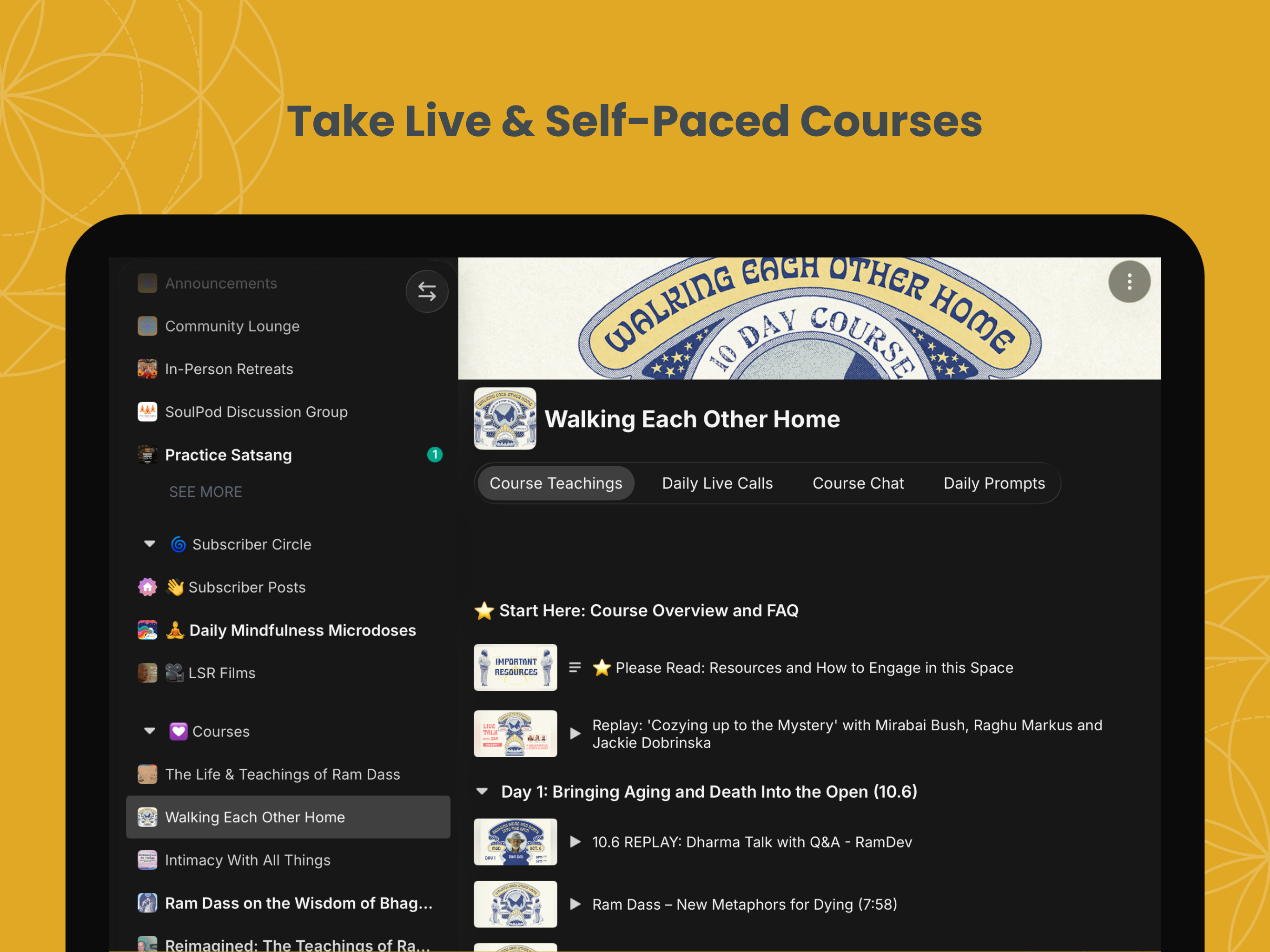 Ram Dass Inner Academy screenshot 10