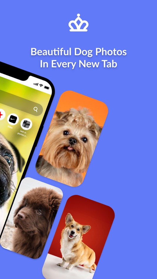 #2. Top Best Browser Extension (iOS) 게시자: Bidwise
