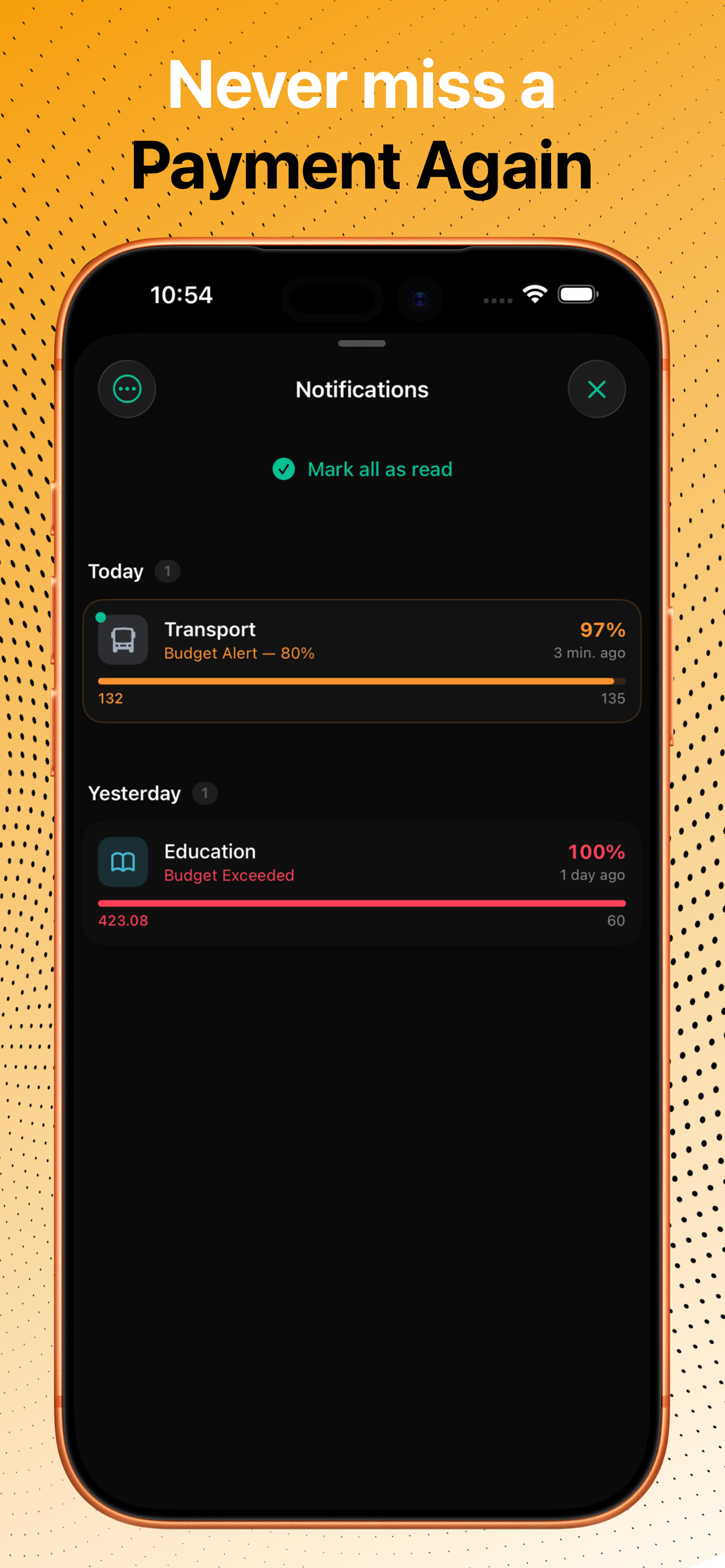 FlowBudget: Expense Tracker screenshot 9