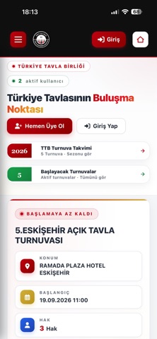 Türkiye Tavla 스크린샷 2