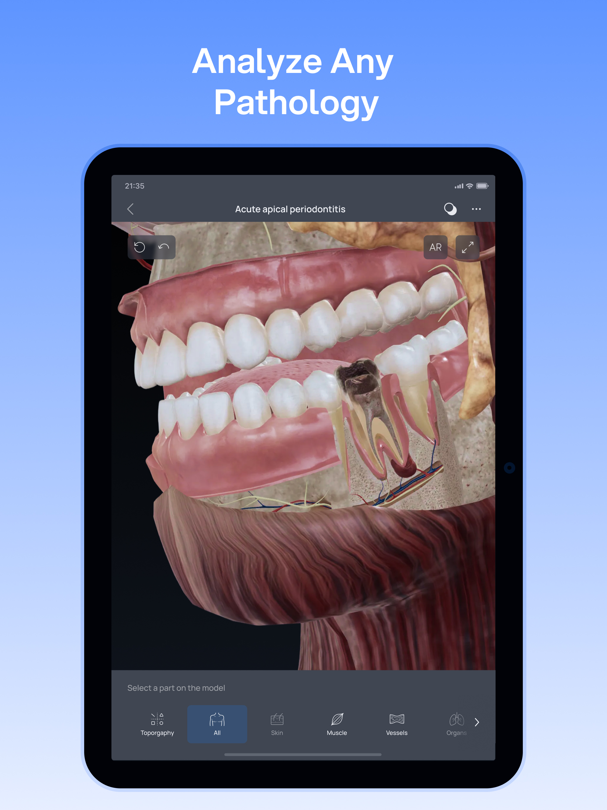 VOKA 3D Anatomy and Physiology screenshot 13