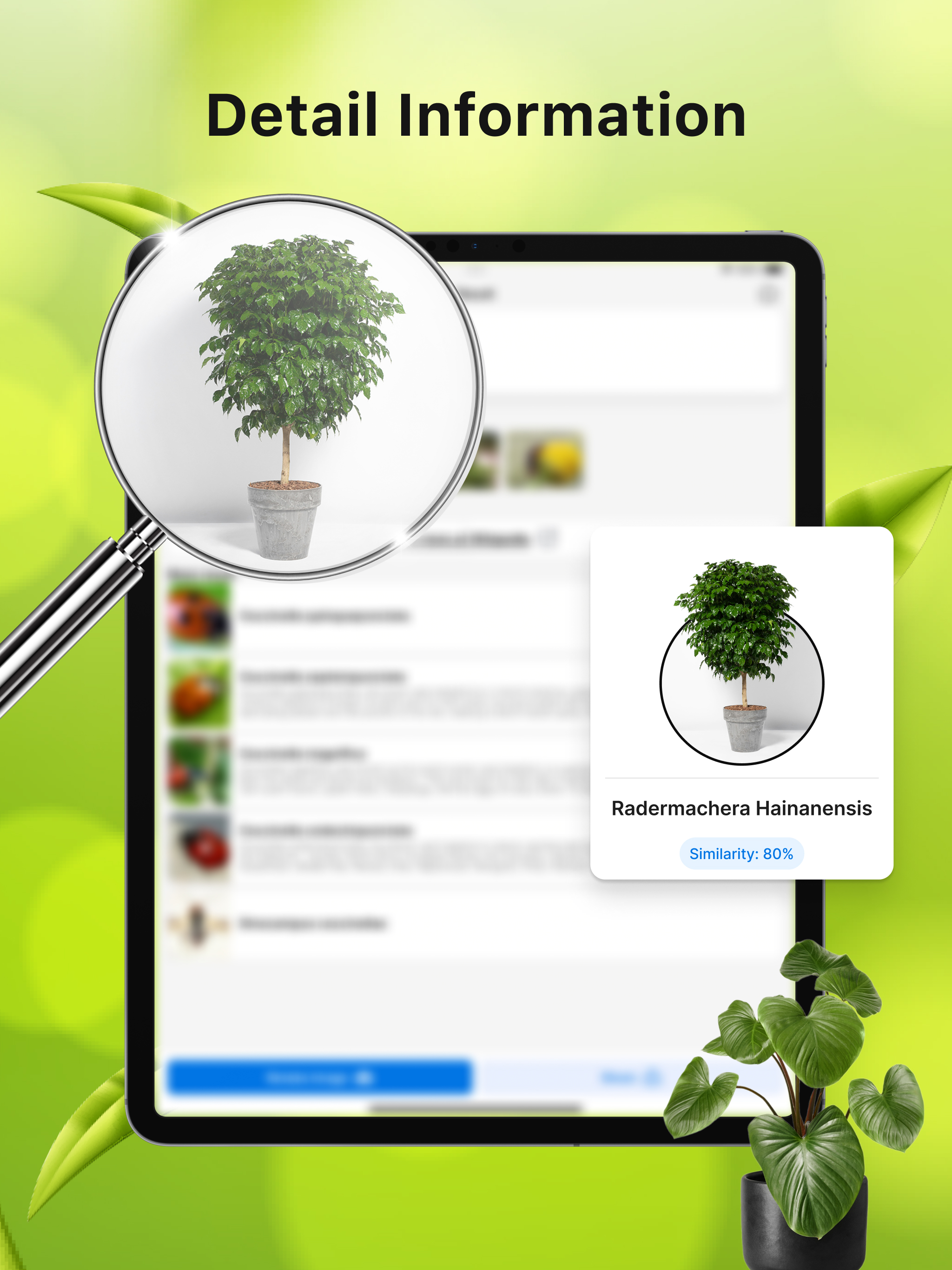 Identify Insects Plants Birds screenshot 10