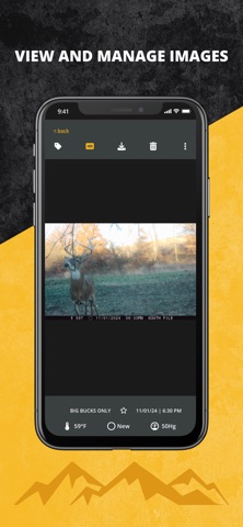 Strike Force Wireless screenshot