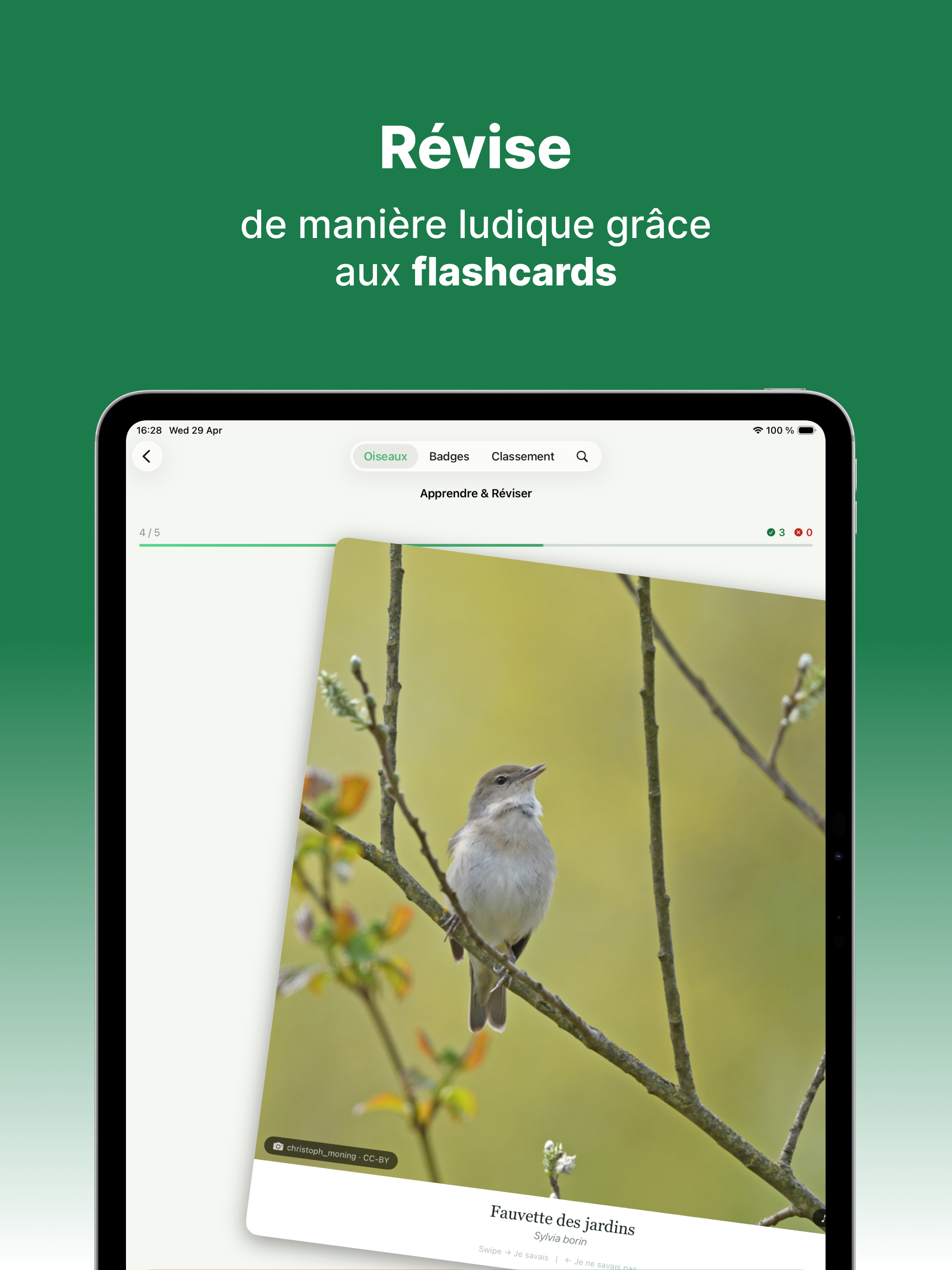 Pokepiaf: Apprends les oiseaux screenshot 11