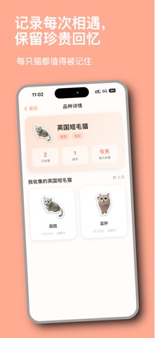 猫知道 screenshot