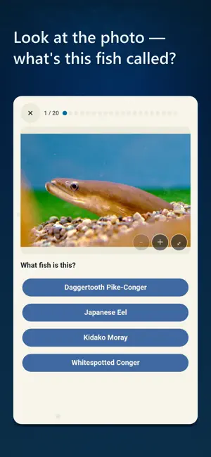 Fish Quiz Japan screenshot 2