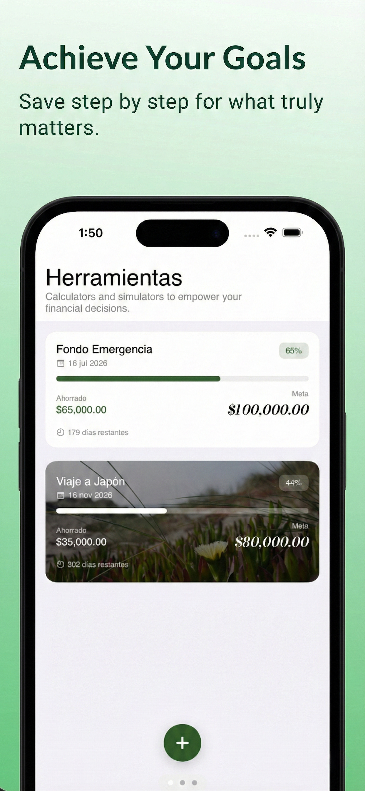 Figz: Control Your Money