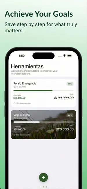 Figz: Control Your Money screenshot 4