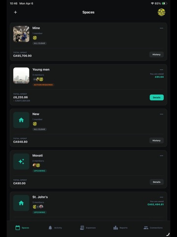 Sanyro: Split Bills & Expenses iPad screenshot