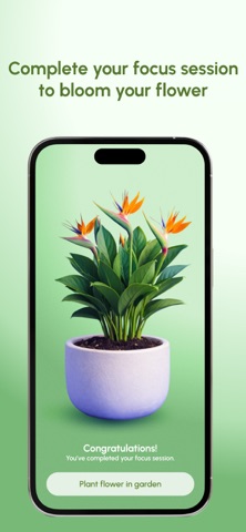 Flower Focus: Pomodoro Timer Screenshot 5 of 7