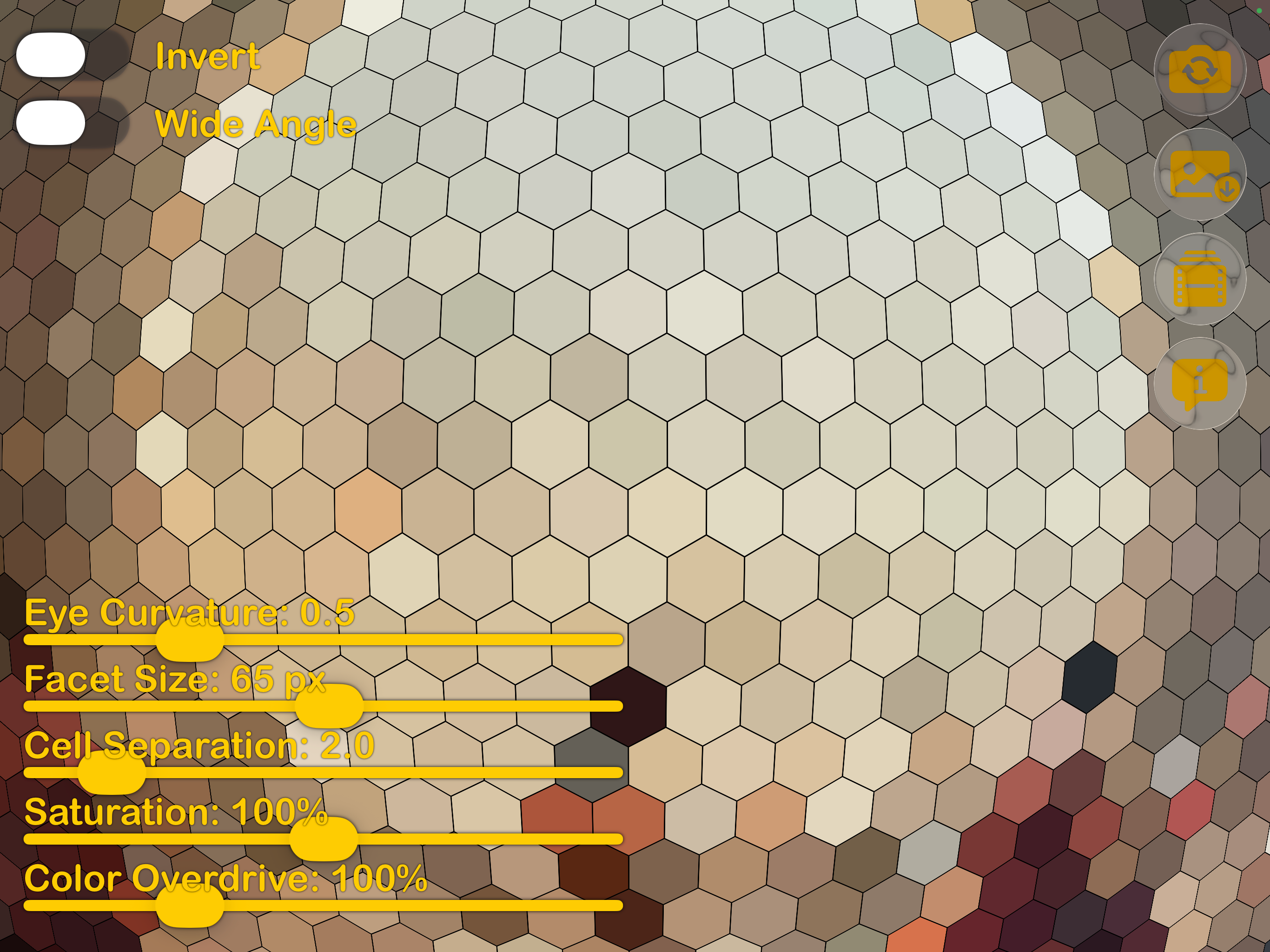 Bee Vision Cam