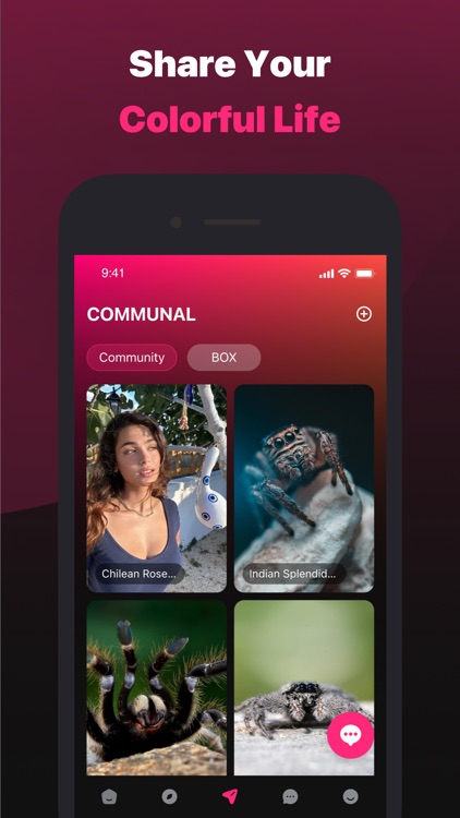 PURITY - Meet Friends & More