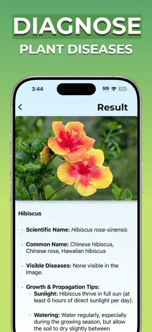 Plant Identifier : PlantWhiz screenshot 2