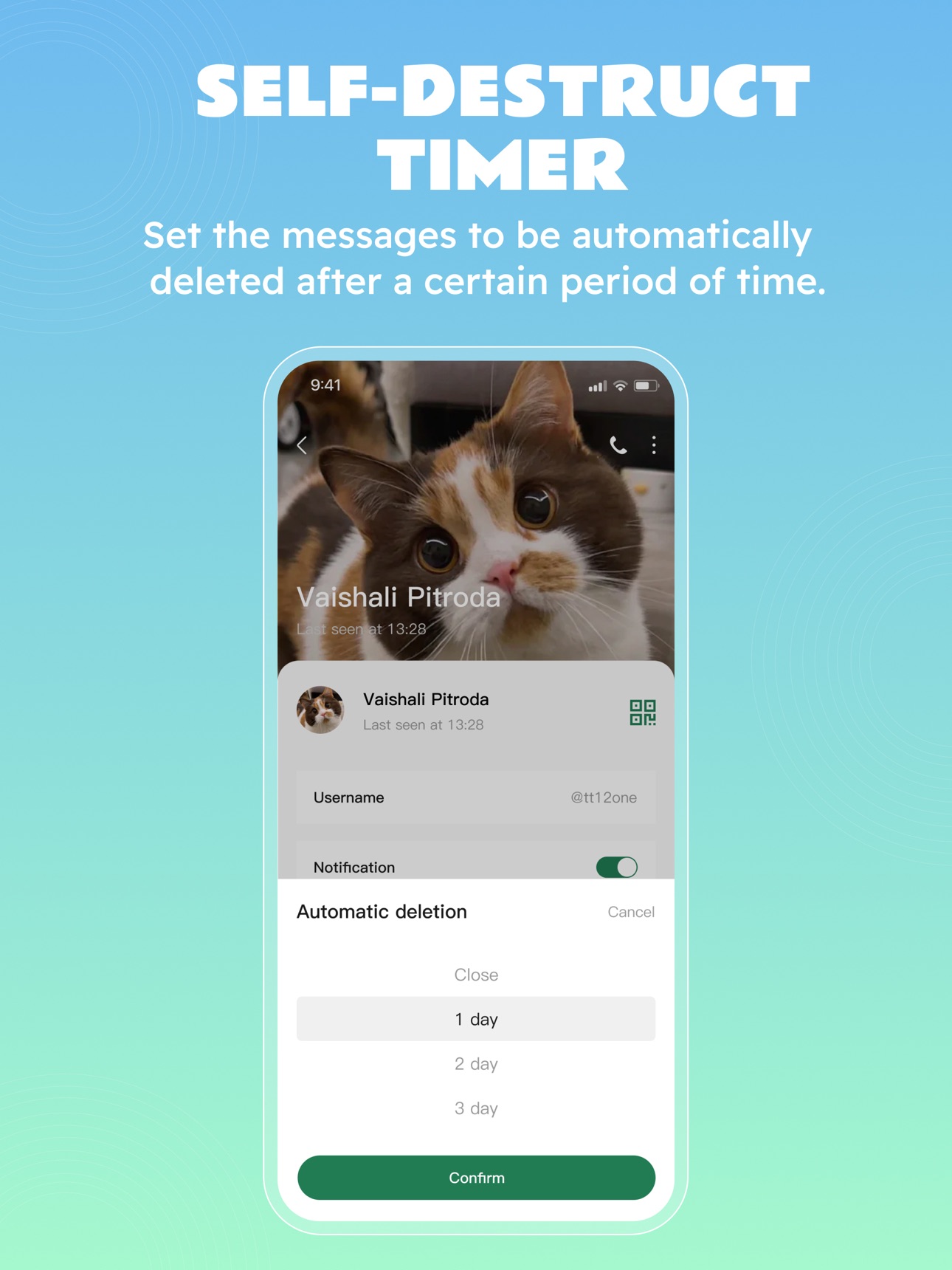 Screenshot 9 of Timos Messenger