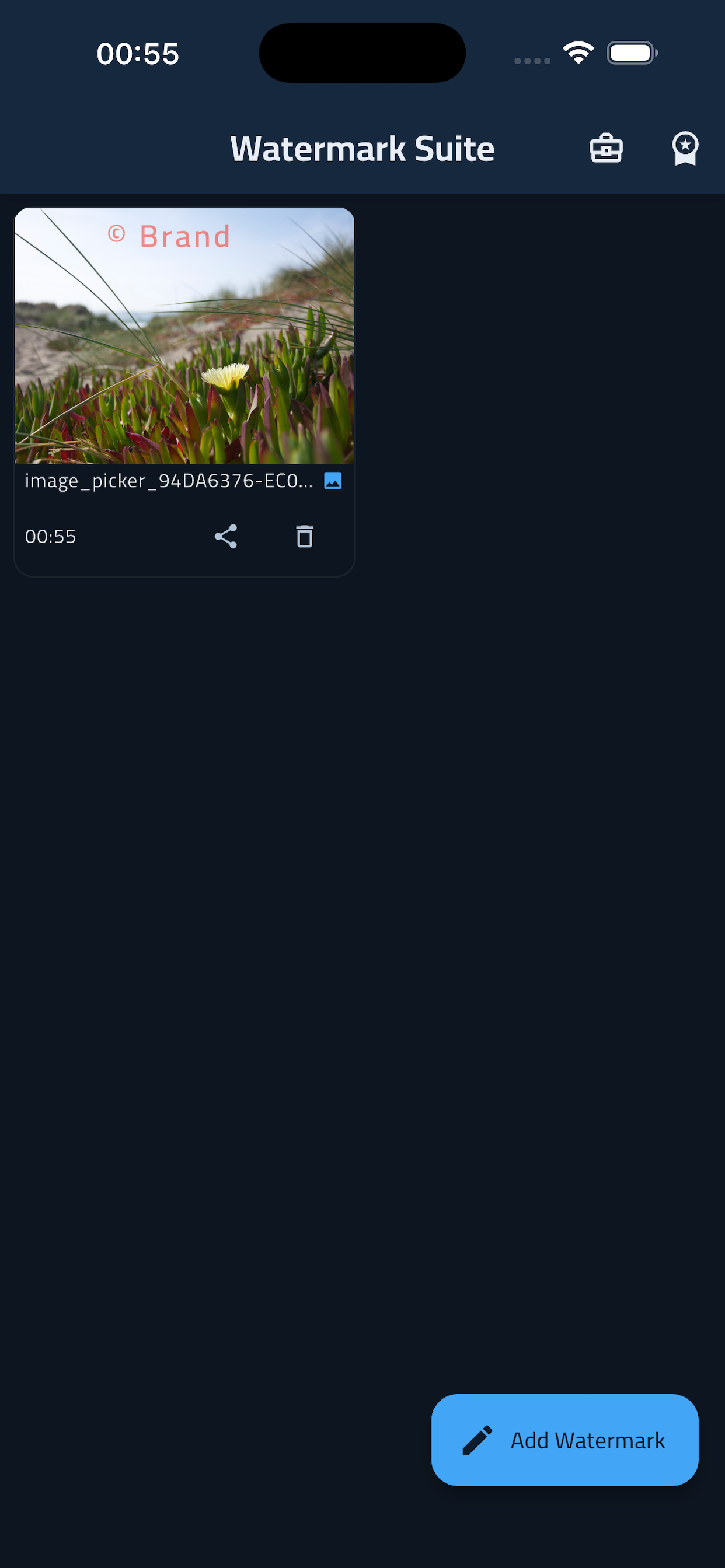 Watermark Suite screenshot 2