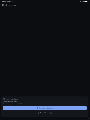 Loopsy Terminal ipad screenshot 2
