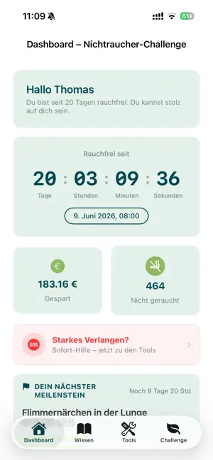 Nichtraucher-Challenge screenshot 1