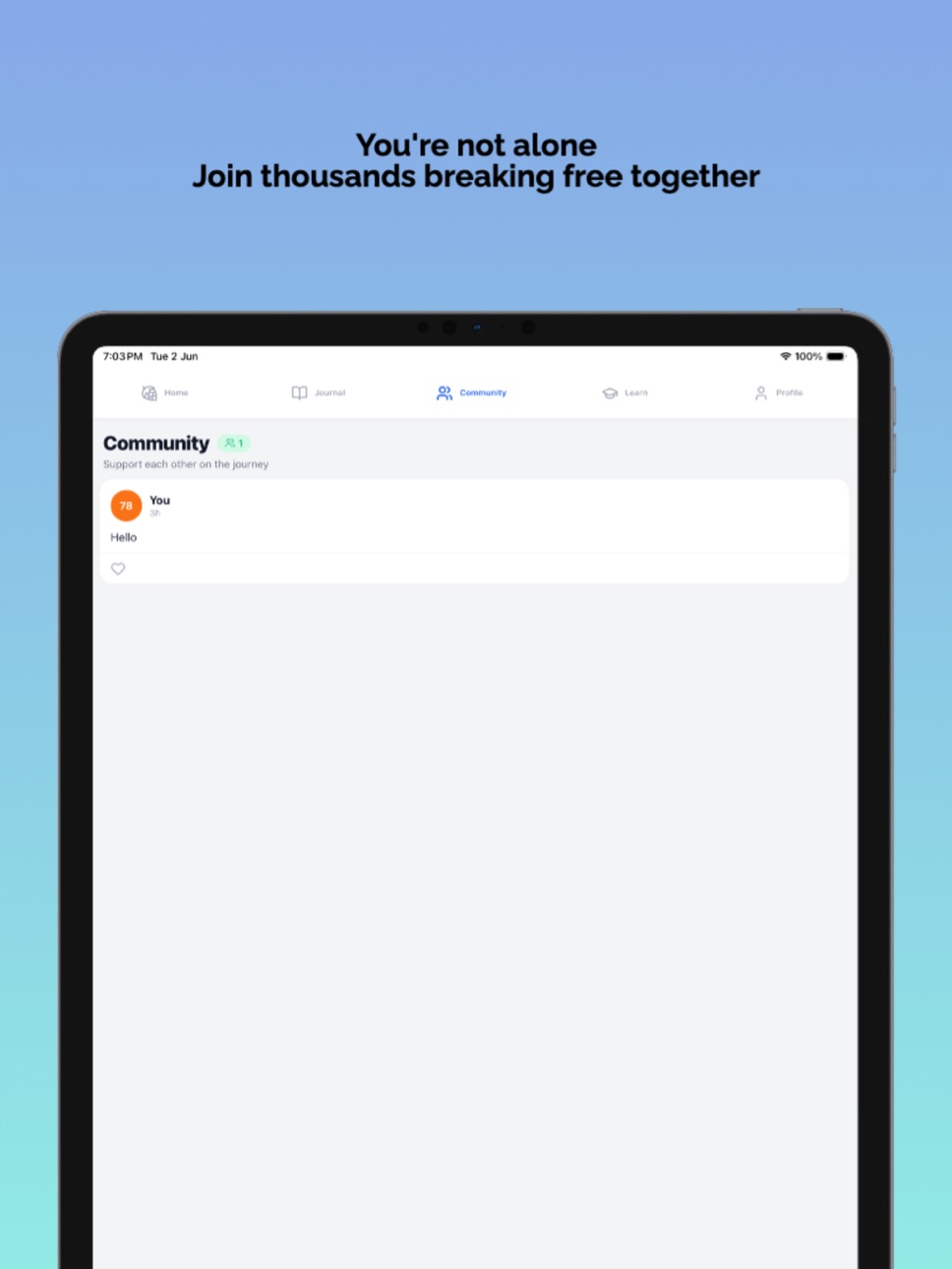 iPad screenshot